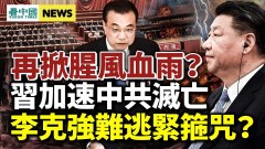 習近平拿此事祭旗關鍵轉折點已到；安倍遇刺專家示警(視頻)