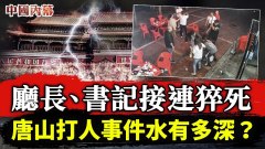公安廳長政法委書記接連猝死唐山打人事件水有多深(視頻)