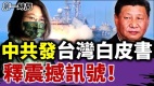 中共發表臺灣白皮書釋出對臺政策的震撼性訊號(視頻)