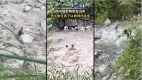 四川彭州突發山洪至少13死傷震撼畫面曝光(視頻圖)