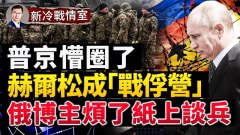 烏國砲兵王牌44旅幹掉俄軍名砲烏軍火砲匯聚兩大戰區(視頻)
