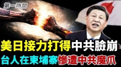 美日議員團大踩戰狼尾巴接力訪台打得中共臉崩(視頻)
