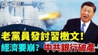 中共老党员发讨习近平檄文呛声开除党籍(视频)
