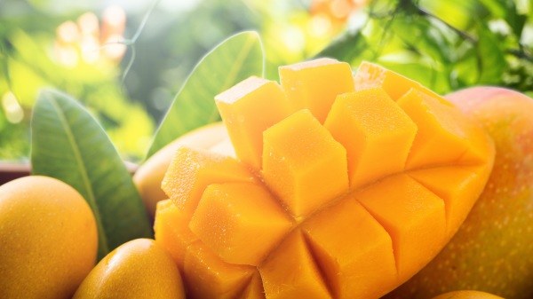 芒果具有抗癌、抗氧化、抗炎、抗菌和抗病毒特性。