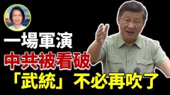 苏拾莹：一场军演中共被看破“武统”不必再吹了(视频)