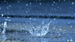 雨水都有毒研究證明：地球已沒有安全之處(圖)