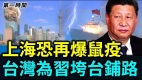 上海恐再爆鼠疫二十大「以疫維穩」出大損招(視頻)