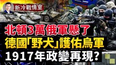 迫於壓力德國交付「野犬」但烏軍更需要另兩樣(視頻)