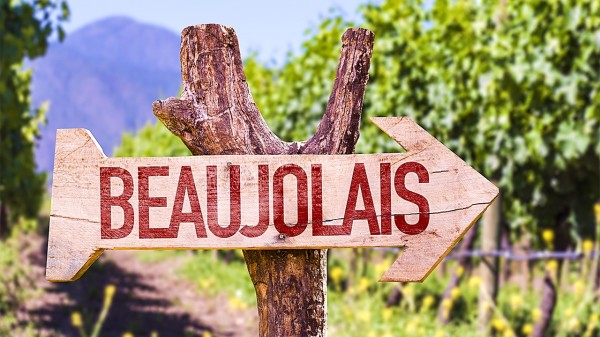 酿酒葡萄产区薄酒莱（Beaujolais）位在法国勃根第南边、隆河北边。