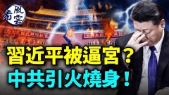 黨內讓習近平走人習走老路辦蠢事；中共惹禍上身(視頻)