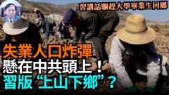 【謝田時間】面對城市失業大軍習近平提倡返鄉回鄉等(視頻)