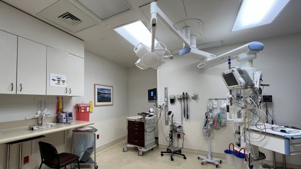美國加州醫院的急診室。（Gado/Getty Images）(16:9)