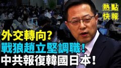 外交轉向戰狼趙立堅調職中共報復韓國日本(視頻)