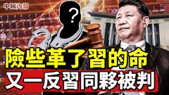 前警卫局局长公安部副部长险些革了习近平的命(视频)