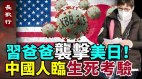 习爸爸袭击美日生死时速中国人购买特效药的心酸(视频)