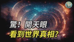 驚開天眼看到世界真相(視頻)