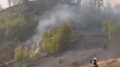 年初一四川自贡山体起火消防揭当天40起火情(图)