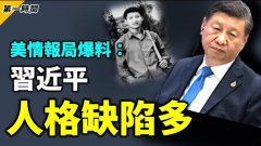汪洋享退休生活北京看劇惹議美報告習近平人格缺陷(視頻)