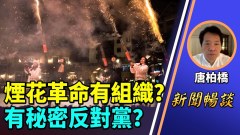 唐柏桥：烟花革命有组织或秘密反对党过年将掀革命(视频)