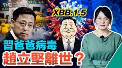 习爸爸病毒出现网传赵立坚离世(视频)
