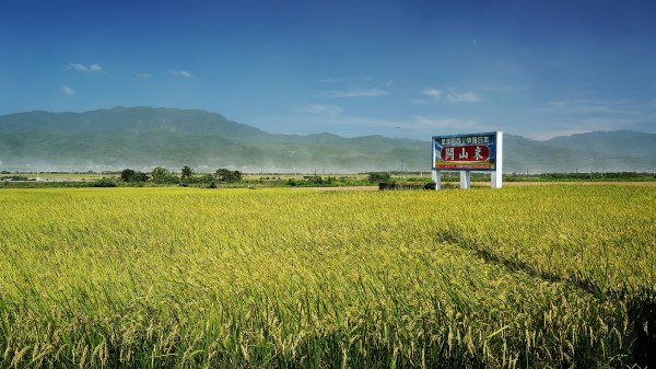 台东关山乡稻田生产的关山米。