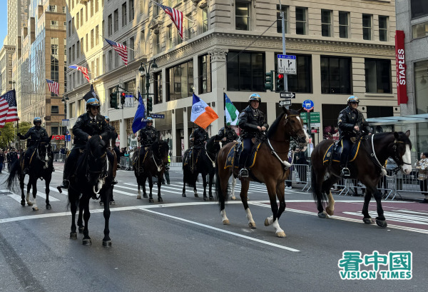 紐約老兵節于11月11日在紐約曼哈頓第五大道舉辦游行，有300團體逾2萬人共襄盛舉