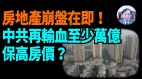 【謝田時間】投錢只增大房地產泡沫中國人儲蓄被掏空(視頻)