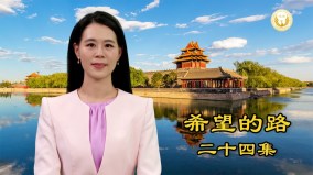 不做独裁者的牺牲品(视频)