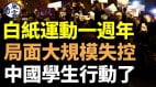 白纸运动一周年；局面大规模失控中国学生反了(视频)