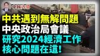 针对2024年经济工作习近平政治局会议说了什么(视频)