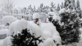 「雪窩」山東威海暴雪持續3天3夜沖熱搜榜首(組圖)