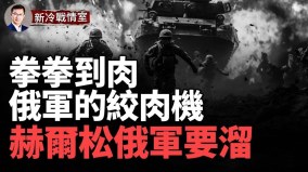 军拳拳到肉坚守阵地俄进攻能力被削弱赫尔松俄军要撤(视频)