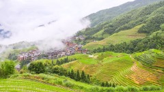 雨水：最是一年春好處(圖)