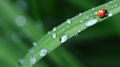 219雨水到須注意一大意涵及禁忌(圖)