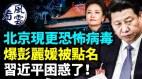 彭麗媛被點名習近平困惑了北京驚現更恐怖病毒(視頻)