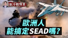空优的SEAD能力欧洲比美国差在哪欧洲皇家空军装备最强(视频)