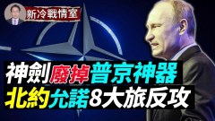 北约承诺“8个战斗旅”乌克兰严肃反攻(视频)