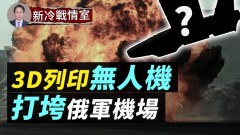 基輔打克里米亞美國點讚普里戈津不懼帶手銬(視頻)