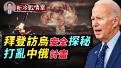 拜登的基輔之行被指是外交政變普京的悶棍(視頻)