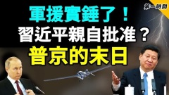 此事震動國際社會援助普京自殺無人機被抓現行(視頻)