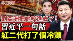 張又俠直咧嘴劉亞洲把她咬進去了(視頻)