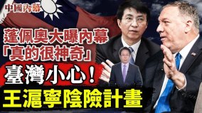 蓬佩奧「這個故事真的很神奇」大曝在任時驚險內幕(視頻)