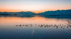 春分有雨病人稀清明無雨一年閑(圖)