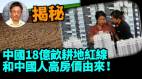 【王维洛专访】揭秘：中国18亿亩耕地红线是为解决中国人吃饭问题么(视频)