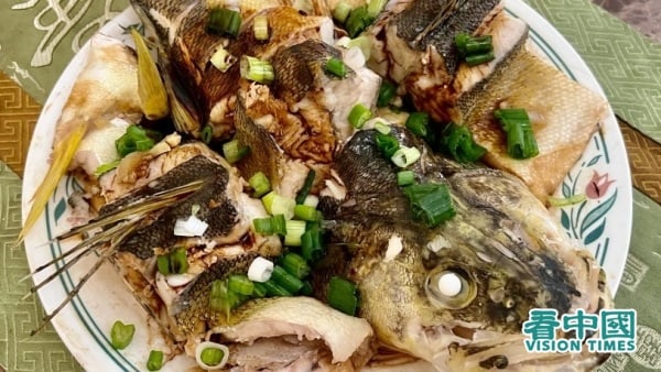 “淡水龙肉”碧古鱼的两种烹饪和人生收获(图)