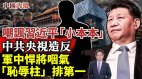 习近平“小本本”被嘲讽中共央视玩“高级黑”(视频)