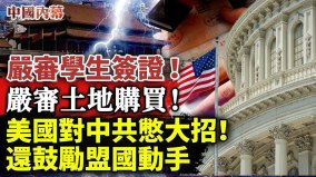 獨家翻譯：嚴審學生簽證嚴審土地購買(視頻)