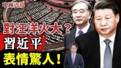 汪洋做報告習近平在其背後表情驚人(視頻)