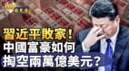 习近平败家揭秘中共外汇账户两万亿美元消失之谜(视频)