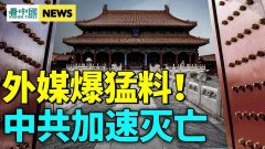 美猛击中共要害；日韩大动作亚洲形势空前(视频)